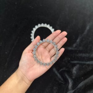 Silver Echo